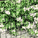 Fencer Wire 3 ft. x 50 ft. 16-Gauge Black Vinyl Coated Welded Wire Fence with 3 in. x 2 in. Mesh, Black Garden Welded Mesh
