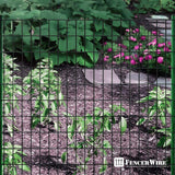 Fencer Wire 3 ft. x 50 ft. 16-Gauge Black Vinyl Coated Welded Wire Fence with 3 in. x 2 in. Mesh, Black Garden Welded Mesh
