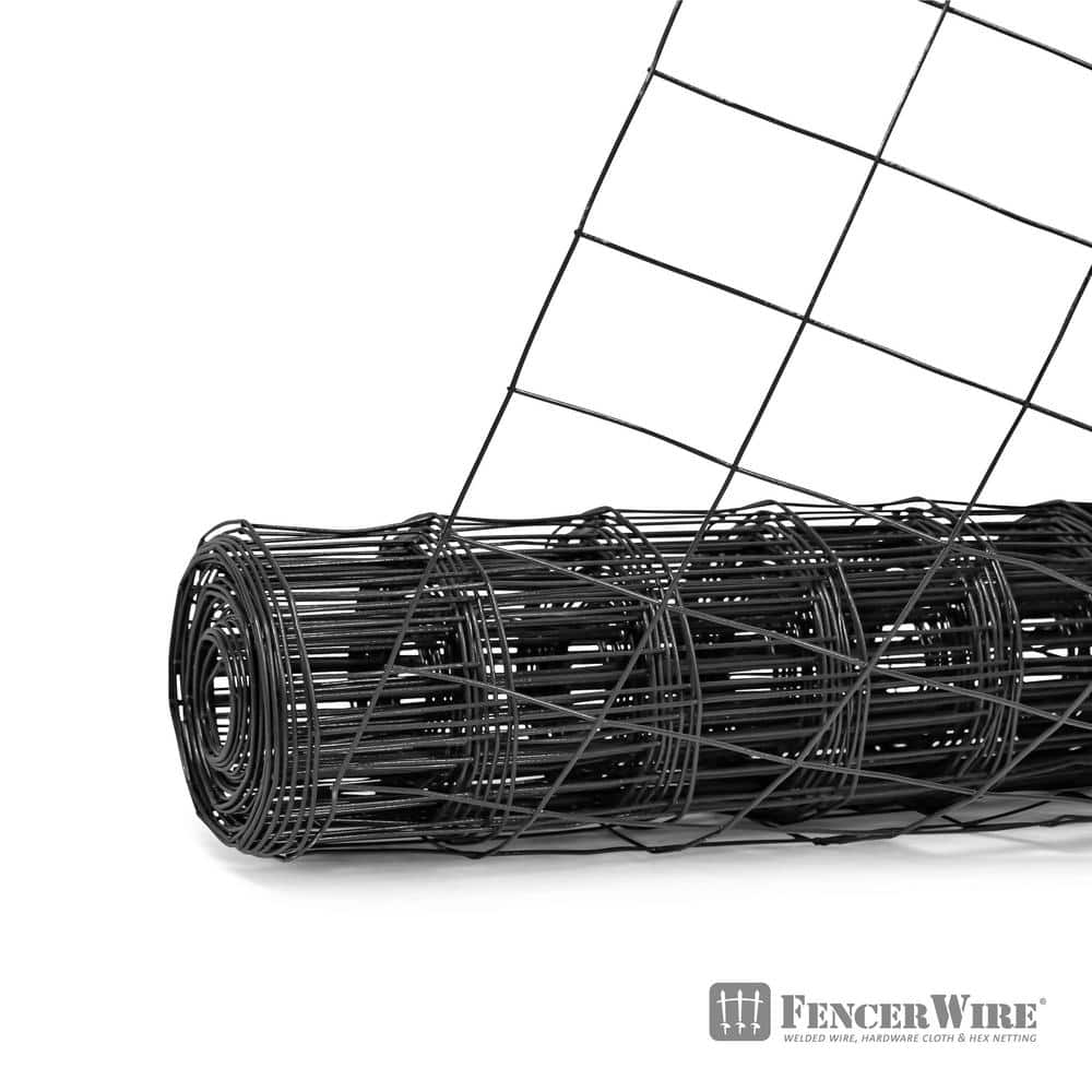 Fencer Wire 3 ft. x 50 ft. 16-Gauge Black Vinyl Coated Welded Wire Fence with 3 in. x 2 in. Mesh, Black Garden Welded Mesh