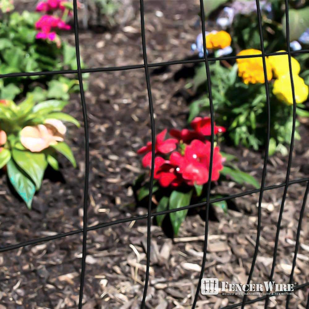 Fencer Wire 3 ft. x 50 ft. 16-Gauge Black Vinyl Coated Welded Wire Fence with 3 in. x 2 in. Mesh, Black Garden Welded Mesh