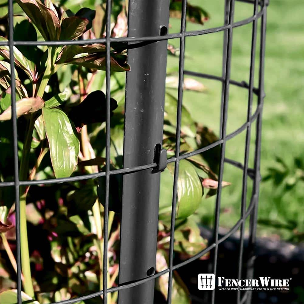 Fencer Wire 3 ft. x 50 ft. 16-Gauge Black Vinyl Coated Welded Wire Fence with 3 in. x 2 in. Mesh, Black Garden Welded Mesh