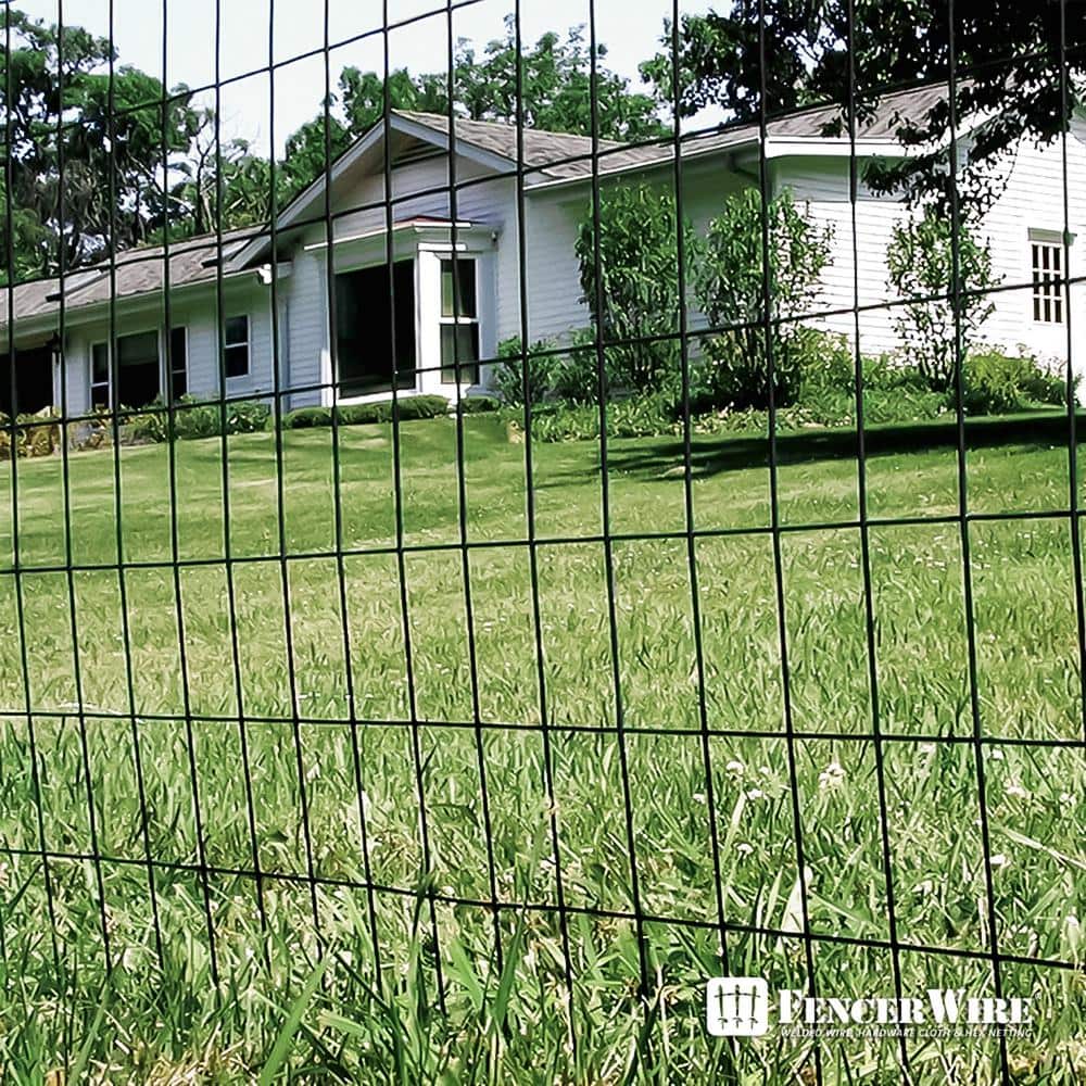 Fencer Wire 3 ft. x 50 ft. 16-Gauge Black Vinyl Coated Welded Wire Fence with 3 in. x 2 in. Mesh, Black Garden Welded Mesh
