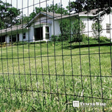 Fencer Wire 3 ft. x 50 ft. 16-Gauge Black Vinyl Coated Welded Wire Fence with 3 in. x 2 in. Mesh, Black Garden Welded Mesh