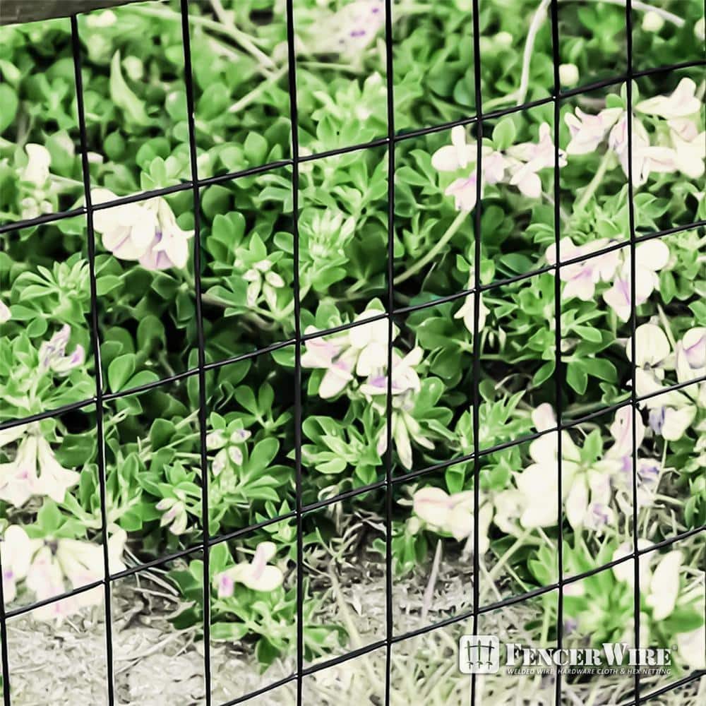 Fencer Wire 4 ft. x 50 ft. 16-Gauge Black Vinyl Coated Welded Wire Fence with 3 in. x 2 in. Mesh, Black Garden Welded Mesh
