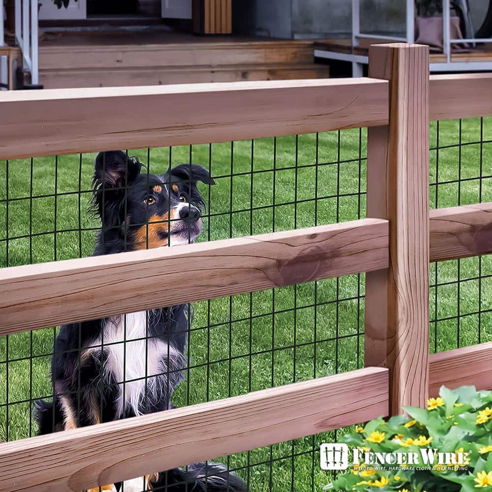 Fencer Wire 4 ft. x 50 ft. 16-Gauge Black Vinyl Coated Welded Wire Fence with 3 in. x 2 in. Mesh, Black Garden Welded Mesh