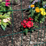 Fencer Wire 2 ft. x 50 ft. 16-Gauge Green PVC Coated Welded Wire Fence with Mesh Size 3 in. x 2 in.