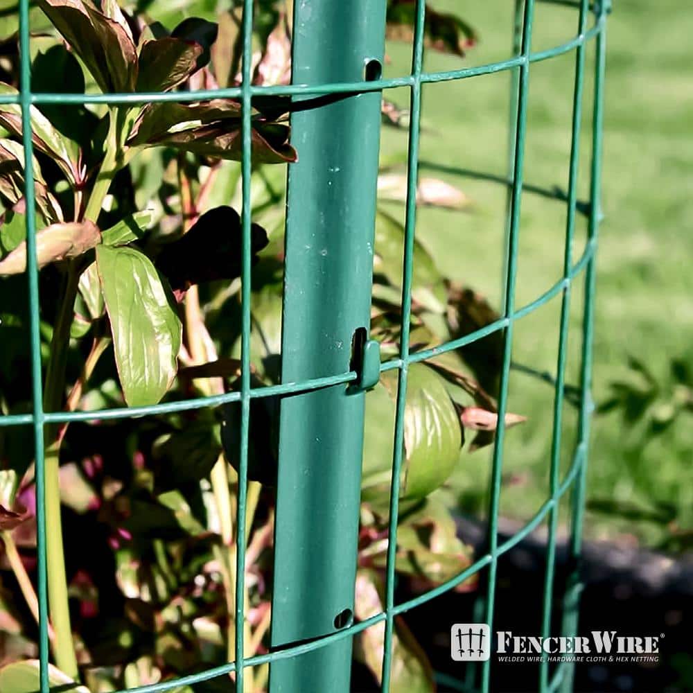 Fencer Wire 2 ft. x 50 ft. 16-Gauge Green PVC Coated Welded Wire Fence with Mesh Size 3 in. x 2 in.