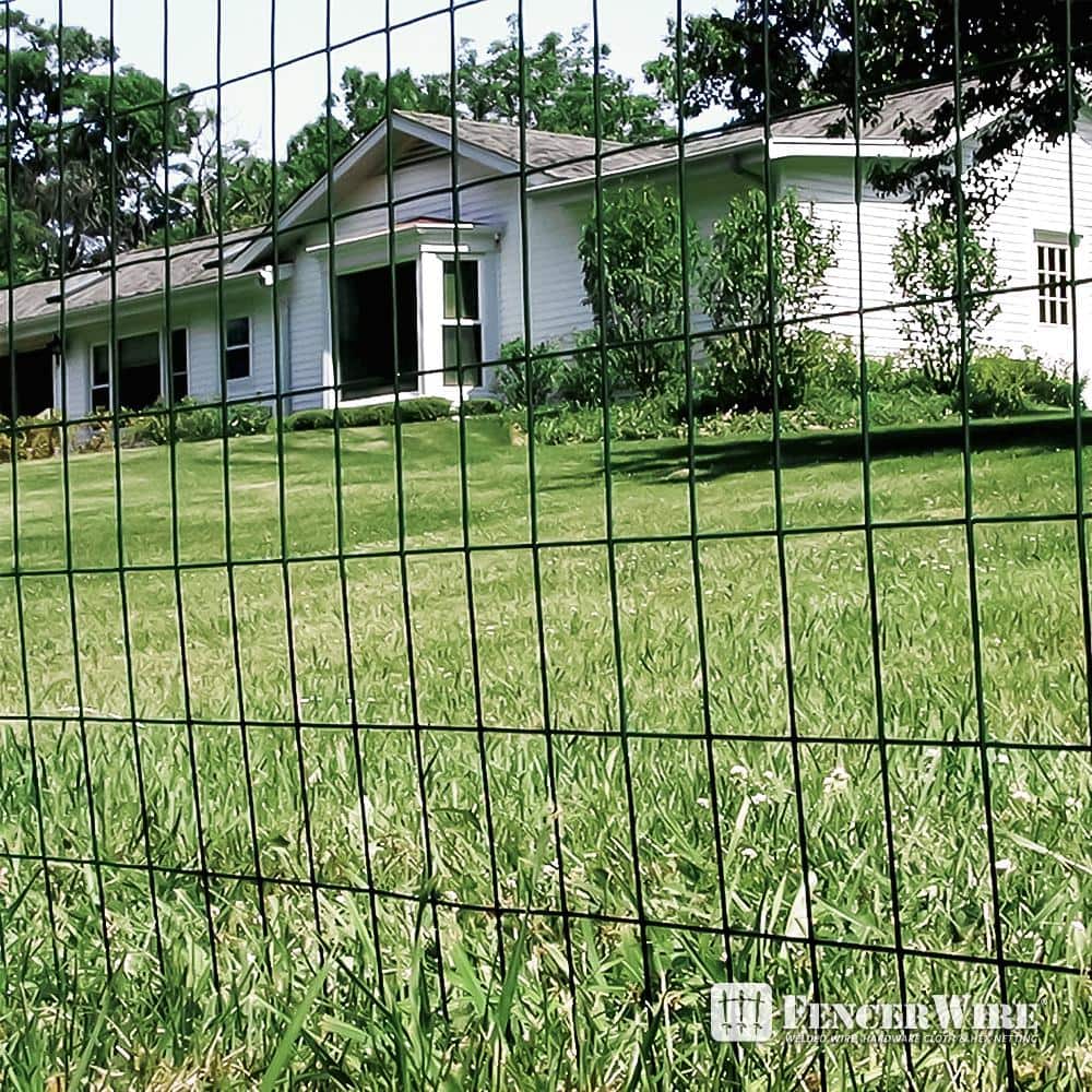 Fencer Wire 2 ft. x 50 ft. 16-Gauge Green PVC Coated Welded Wire Fence with Mesh Size 3 in. x 2 in.