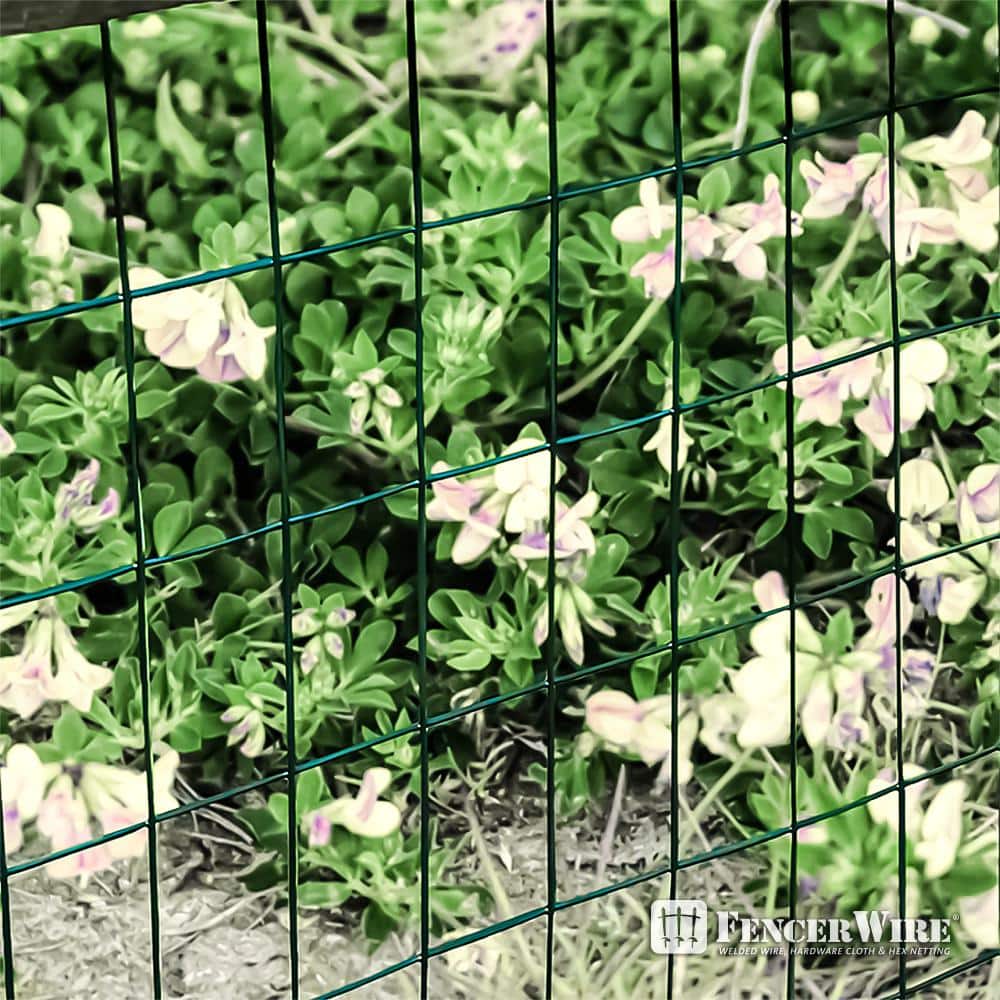Fencer Wire 6 ft. x 50 ft. 16-Gauge Green Vinyl Coated Welded Wire Fence with 3 in. x 2 in. Mesh, Black Garden Welded Mesh