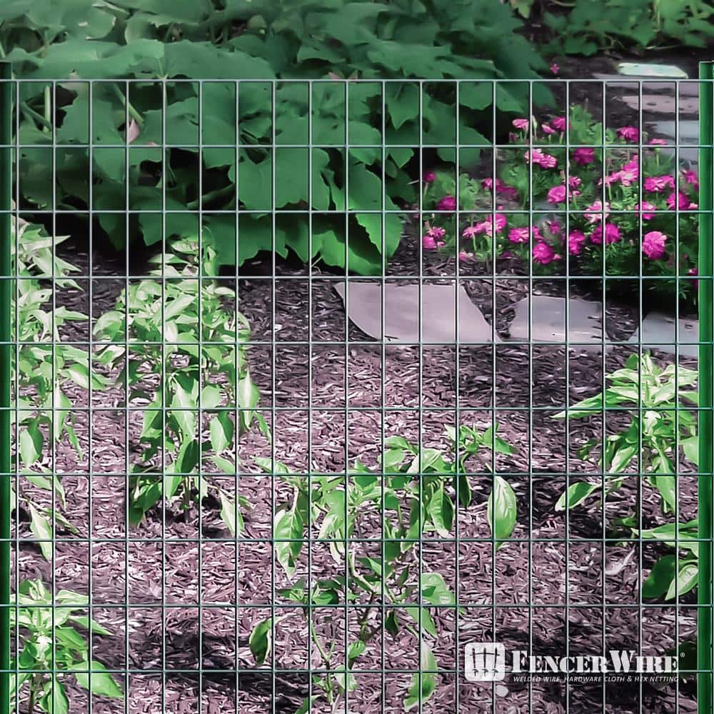 Fencer Wire 6 ft. x 50 ft. 16-Gauge Green Vinyl Coated Welded Wire Fence with 3 in. x 2 in. Mesh, Black Garden Welded Mesh