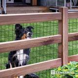 Fencer Wire 6 ft. x 50 ft. 16-Gauge Green Vinyl Coated Welded Wire Fence with 3 in. x 2 in. Mesh, Black Garden Welded Mesh