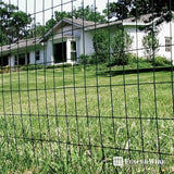 Fencer Wire 6 ft. x 50 ft. 16-Gauge Green Vinyl Coated Welded Wire Fence with 3 in. x 2 in. Mesh, Black Garden Welded Mesh