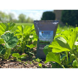 WAKEFIELD 1 cu. ft. Bag Premium Biochar Organic Garden Soil Conditioner - Super Arbor