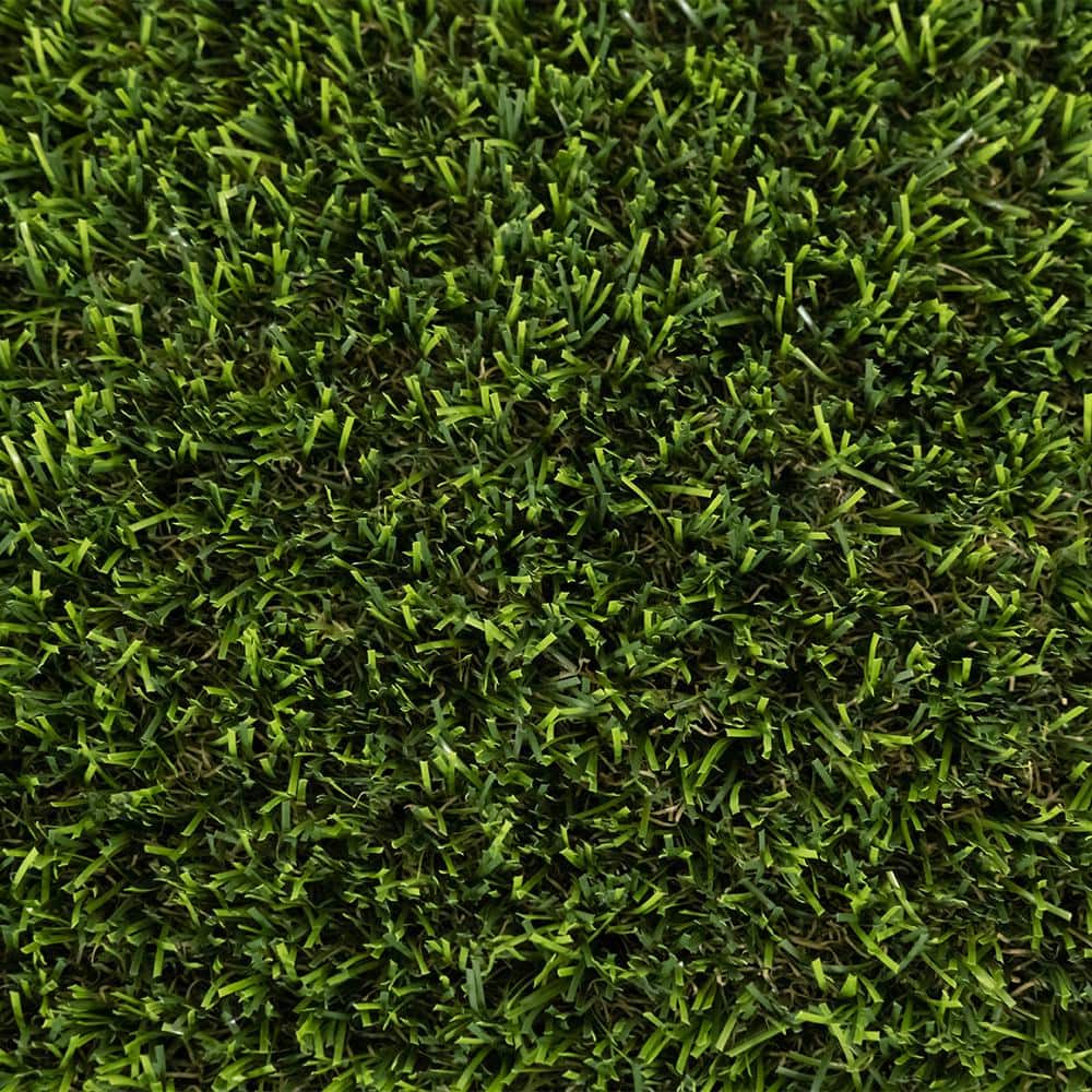 TURF DISTRIBUTORS Eco 82 Lime Green 15 ft. Wide x Cut to Length Artificial Grass Carpet