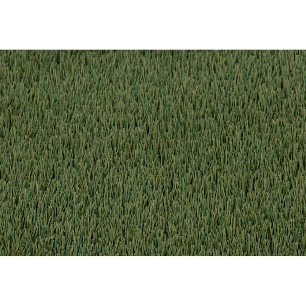 NATCO HOME 80 oz. Evolution 15 ft. Wide x Cut to Length Dark Field Olive Artificial Grass