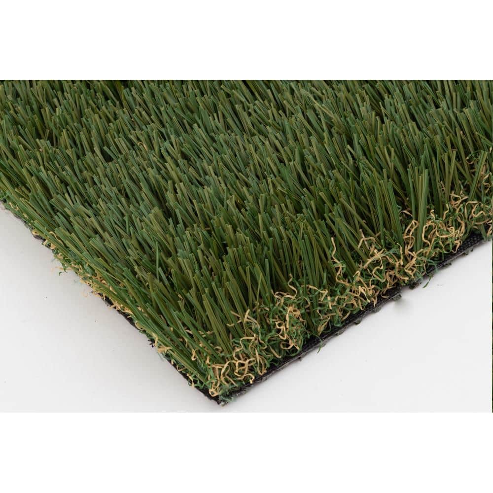 NATCO HOME 80 oz. Evolution 15 ft. Wide x Cut to Length Dark Field Olive Artificial Grass