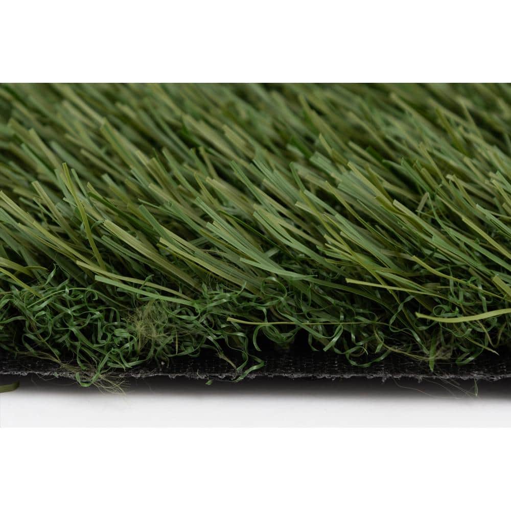 NATCO HOME 46 oz. Kentucky 15 ft. Wide x Cut to Length Field/Olive Green Artificial Grass