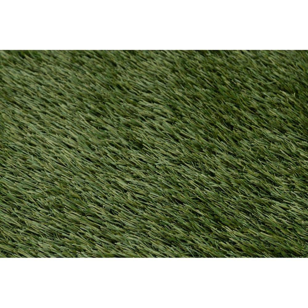 NATCO HOME 46 oz. Kentucky 15 ft. Wide x Cut to Length Field/Olive Green Artificial Grass