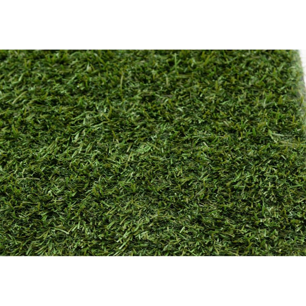 NATCO HOME 46 oz. Kentucky 15 ft. Wide x Cut to Length Field/Olive Green Artificial Grass