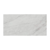 MSI Franrivers Gray Onyx 24 in. W x 48 in. L Polished Porcelain Floor and Wall Tile (16 sq. ft./Case)