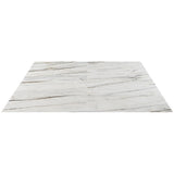 DreamStone Carpaccio White 12x24 Matte Porcelain Tile - Lux Tile