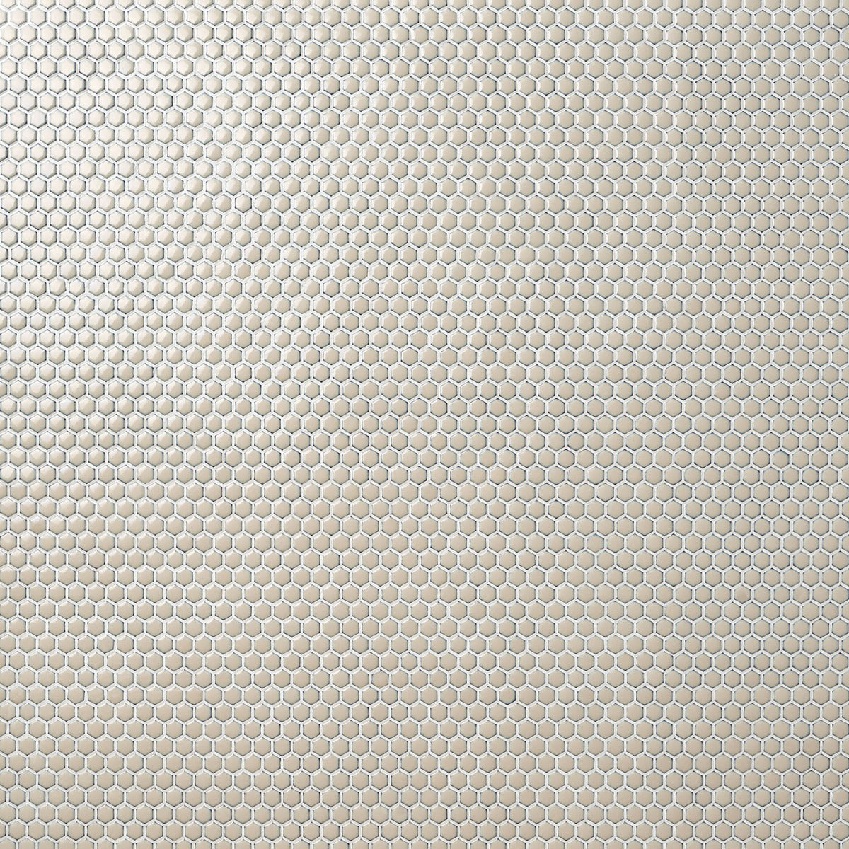 Eden Latte Beige Rimmed Hexagon Polished Porcelain Mosaic Tile