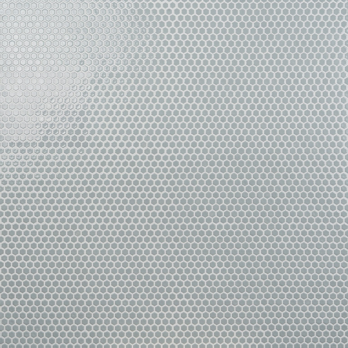 Eden Modern Gray Rimmed 1" Hexagon Polished Porcelain Mosaic Tile