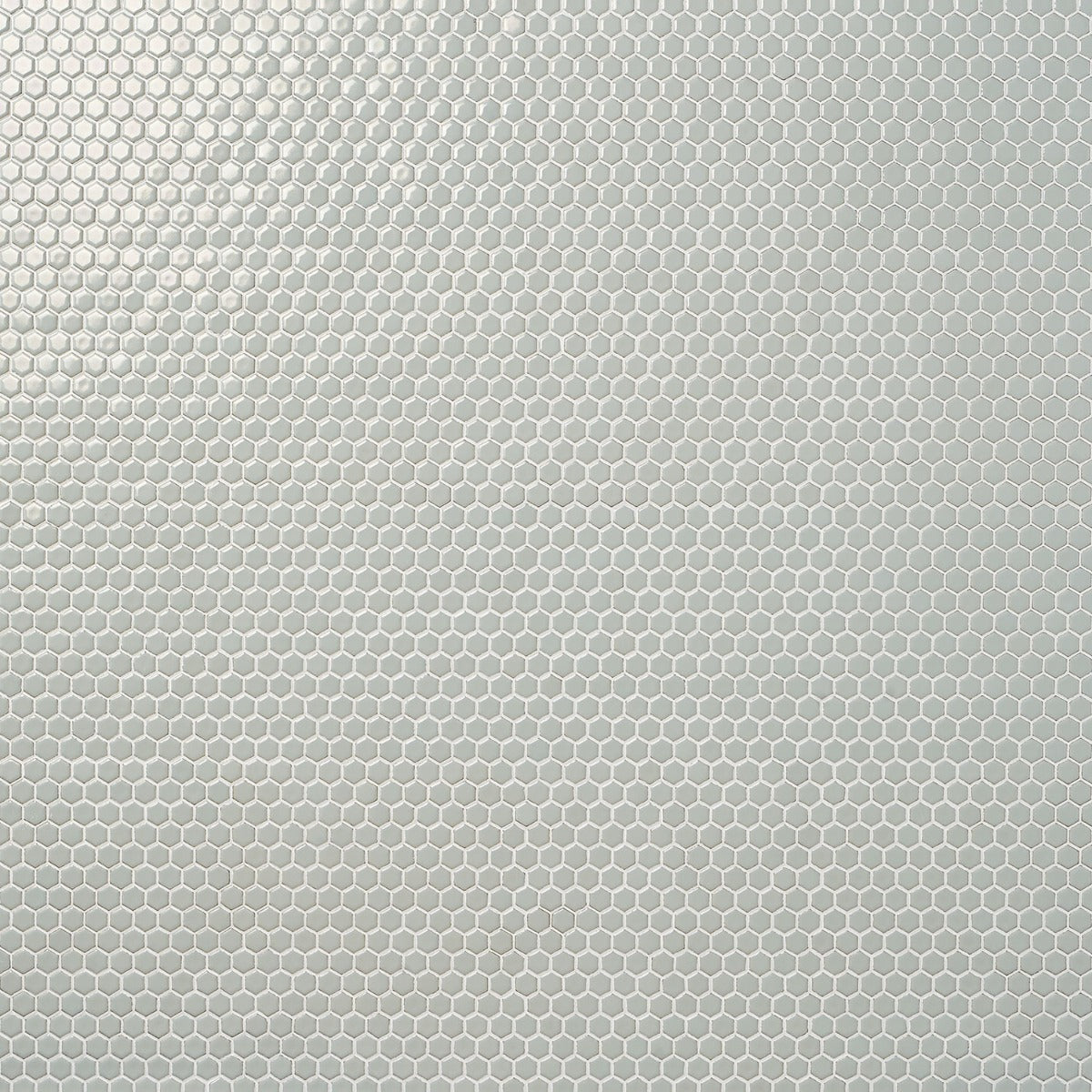 Eden Antiguan Sky Gray Rimmed Hexagon Polished Porcelain Mosaic Tile