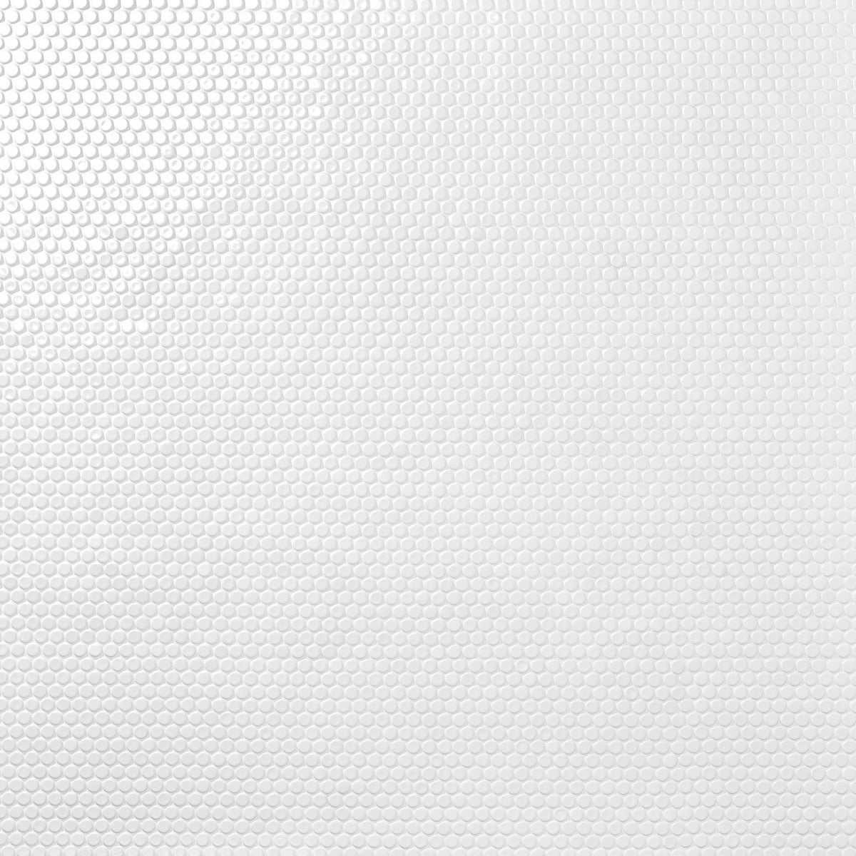 Eden White Penny Round Polished Porcelain Mosaic Tile