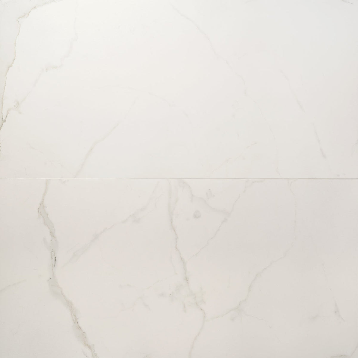 Lux Tile Calacatta White Matte Porcelain Tile 24x48