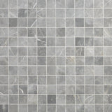Tilebar Marble Tech Grigio Imperiale 2x2 Matte Porcelain Mosaic Tile