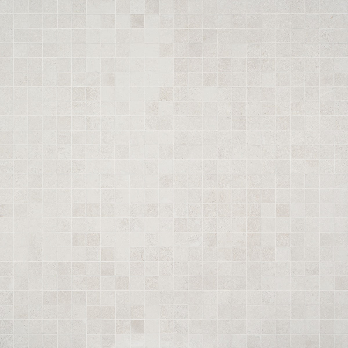 Bronx White Matte Porcelain Mosaic Tile - 2x2 Inches