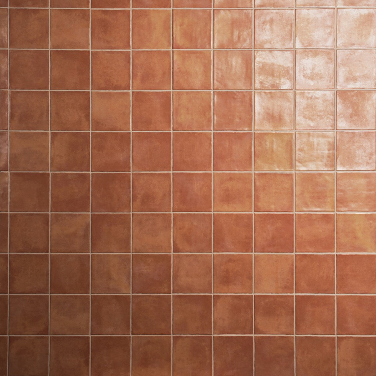Paula Purroy Talia Terracotta 5x5 Matte Ceramic Tile - Lux Tile