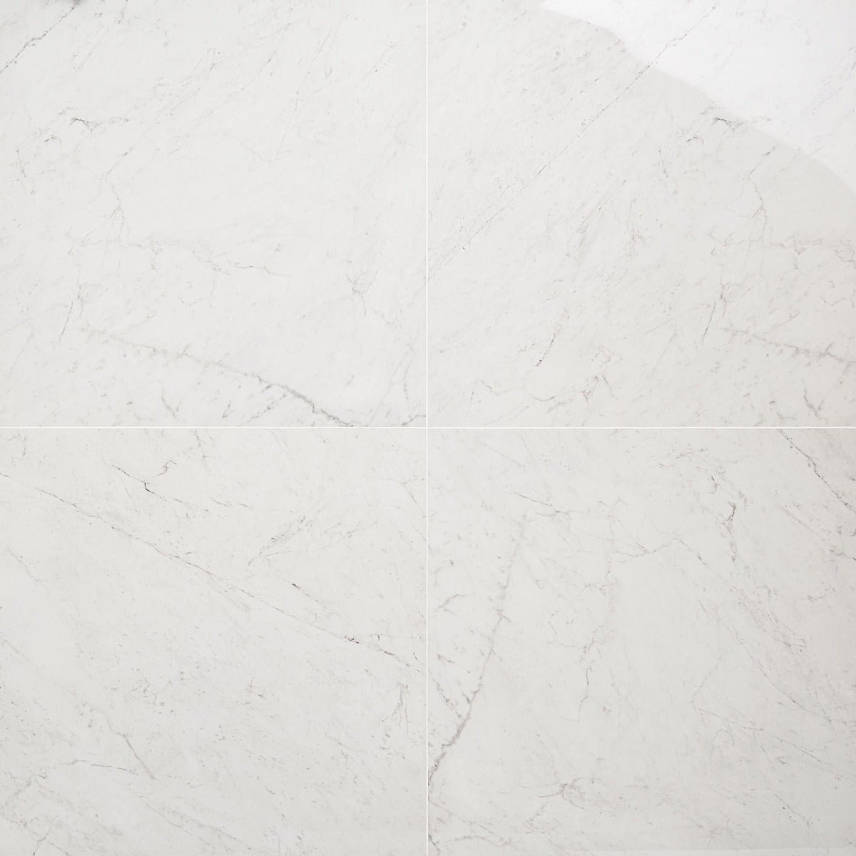 DreamStone Carrara Giola 24x24 Polished Porcelain Tile