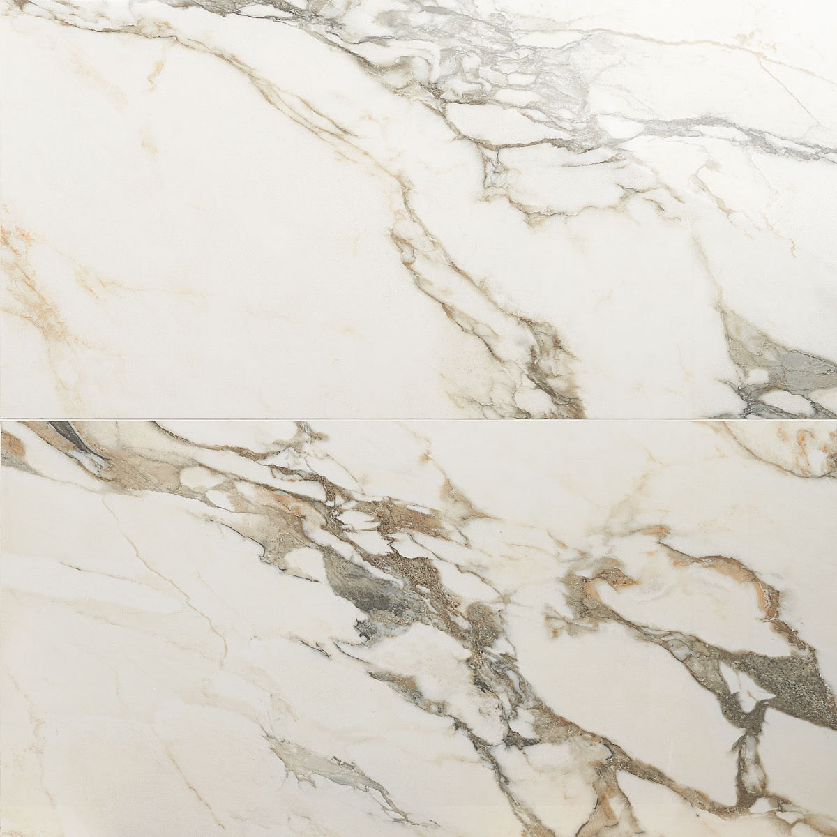 Dreamstone Calacatta Rustico Beige 24x48 Polished Porcelain Tile