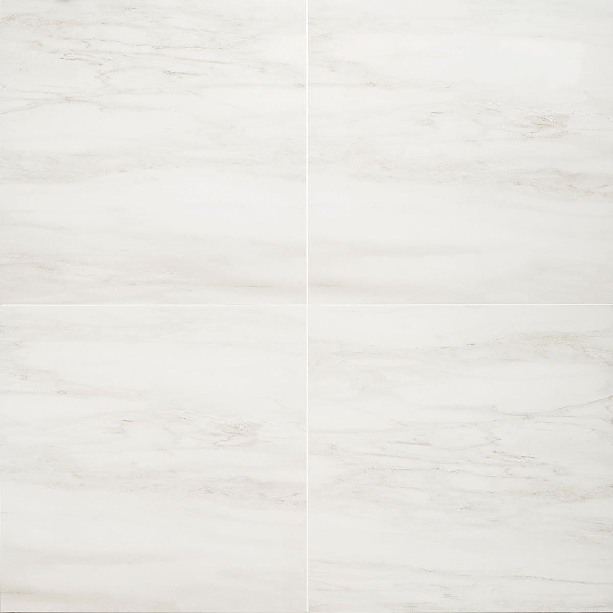 DreamStone Dolomite Snow White 24x24 Matte Porcelain Tile