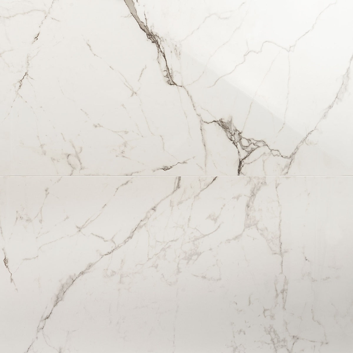 DreamStone Statuario Venato White 24x48 Polished Porcelain Tile