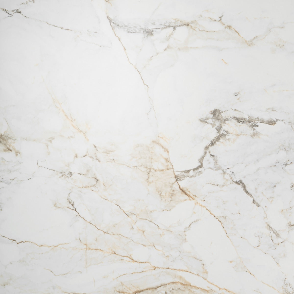 Tilebar Calacatta Macchia White Gold 48x48 Marble Look Matte Porcelain Tile