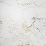 Tilebar Calacatta Macchia White Gold 48x48 Marble Look Matte Porcelain Tile
