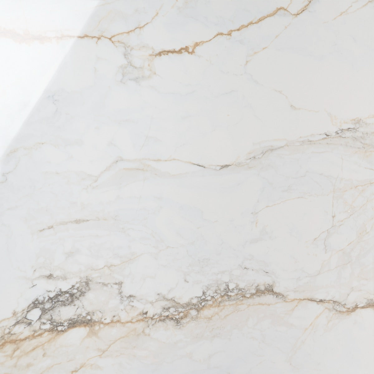 Calacatta Macchia White Gold 48x48 Marble Look Polished Porcelain Tile - Lux Tile