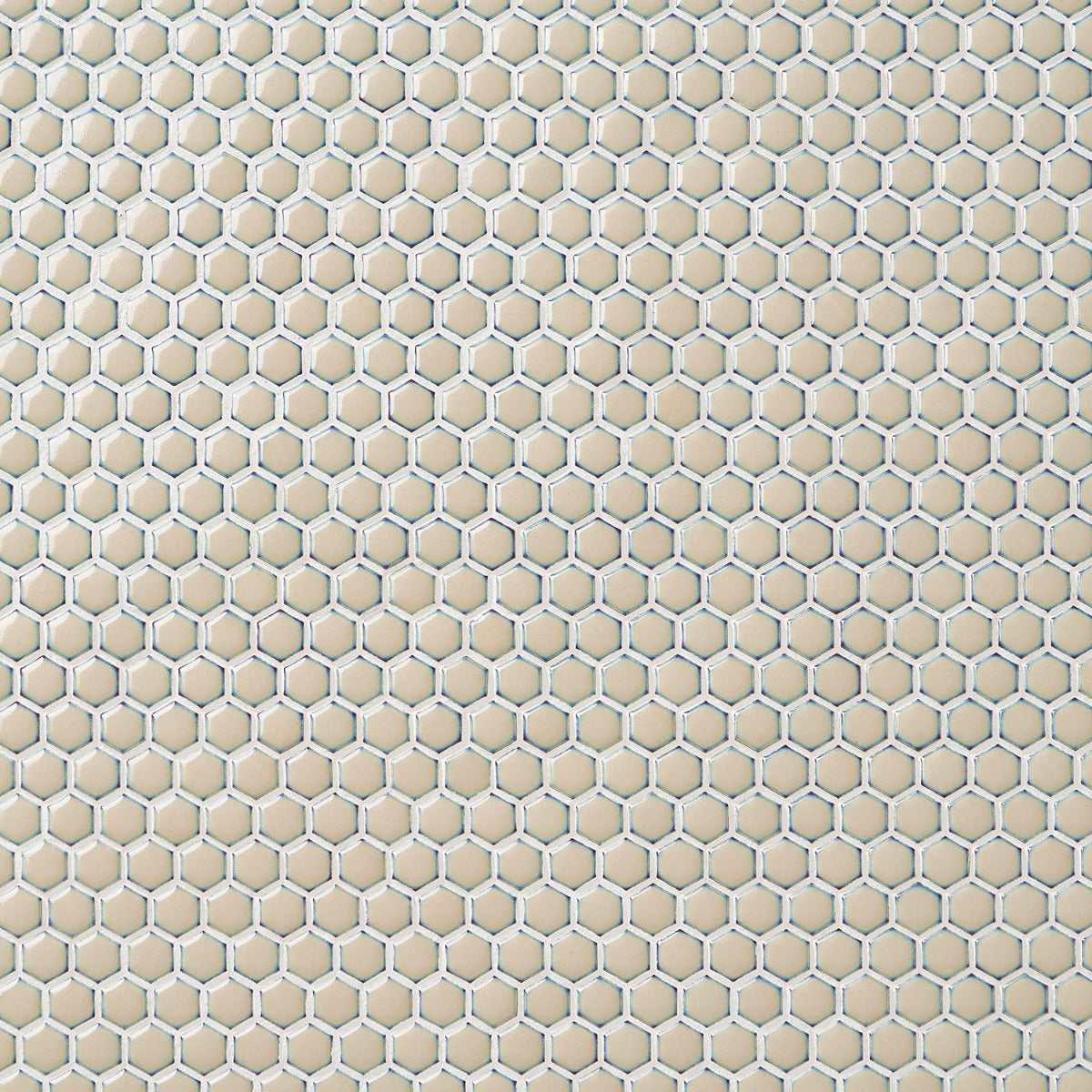 Eden Latte Beige Rimmed Hexagon Polished Porcelain Mosaic Tile