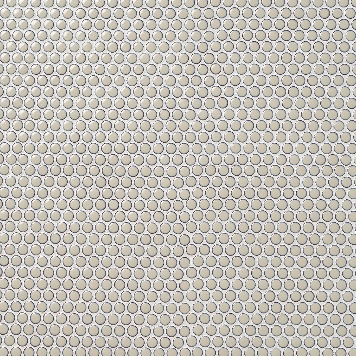 Eden Latte Beige Rimmed Penny Round Polished Porcelain Mosaic Tile