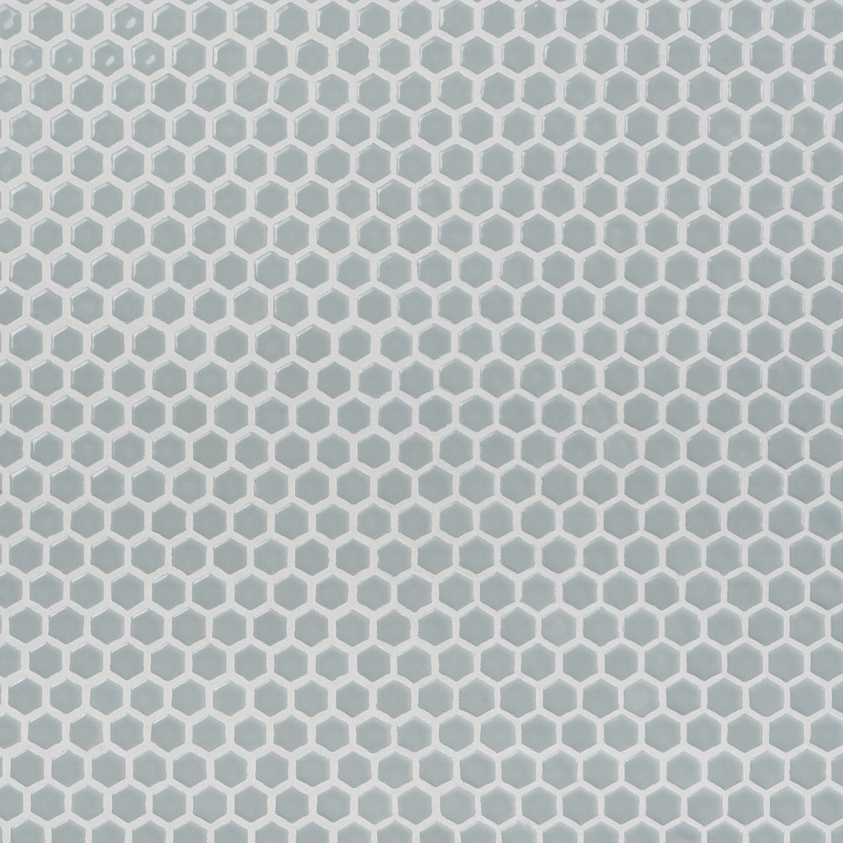 Eden Modern Gray Rimmed 1" Hexagon Polished Porcelain Mosaic Tile