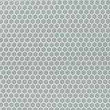 Eden Modern Gray Rimmed 1" Hexagon Polished Porcelain Mosaic Tile