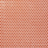 Eden Orange Nectar Rimmed Penny Round Polished Porcelain Mosaic Tile