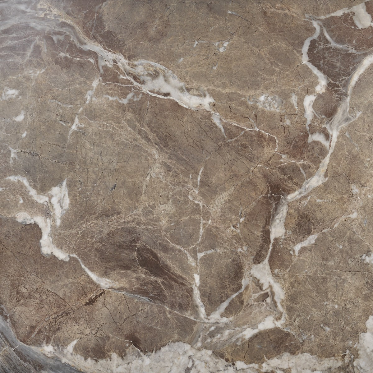 Tilebar Autograph Espresso Brown 48x48 Marble Look Satin Porcelain Tile