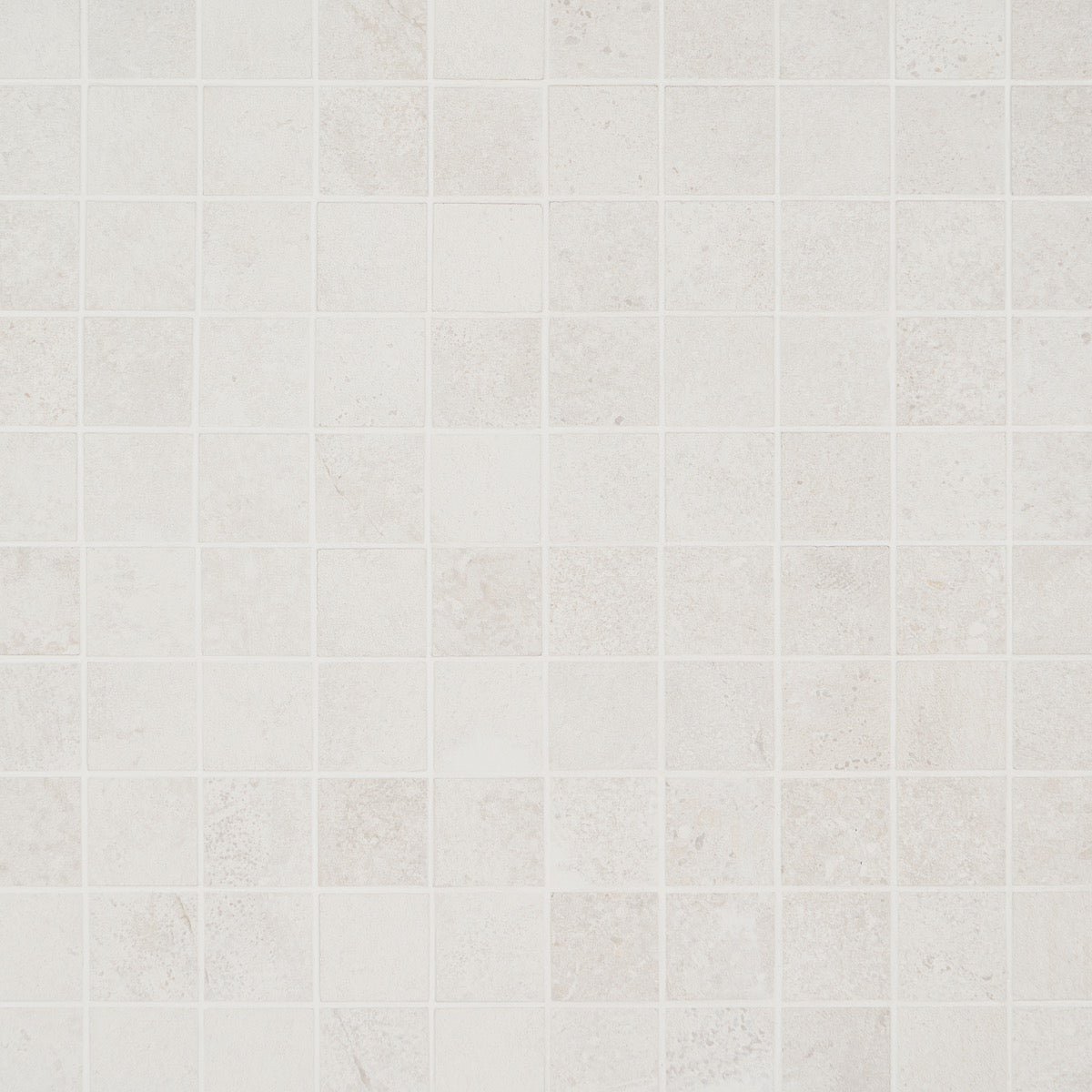 Bronx White Matte Porcelain Mosaic Tile - 2x2 Inches