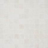 Bronx White Matte Porcelain Mosaic Tile - 2x2 Inches