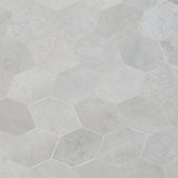 Bond Nimbus Silver Foliage Hexagon Matte Porcelain Mosaic Tile - Lux Tile