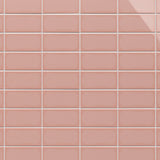 Park Hill Pink 3x6 Polished Porcelain Subway Tile for Walls